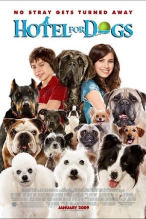 Hotel20for20Dogs.jpg